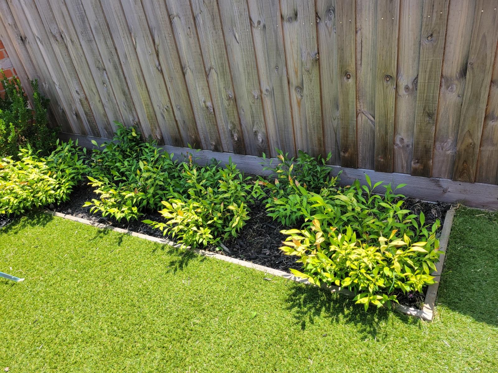 Backyard landscaping