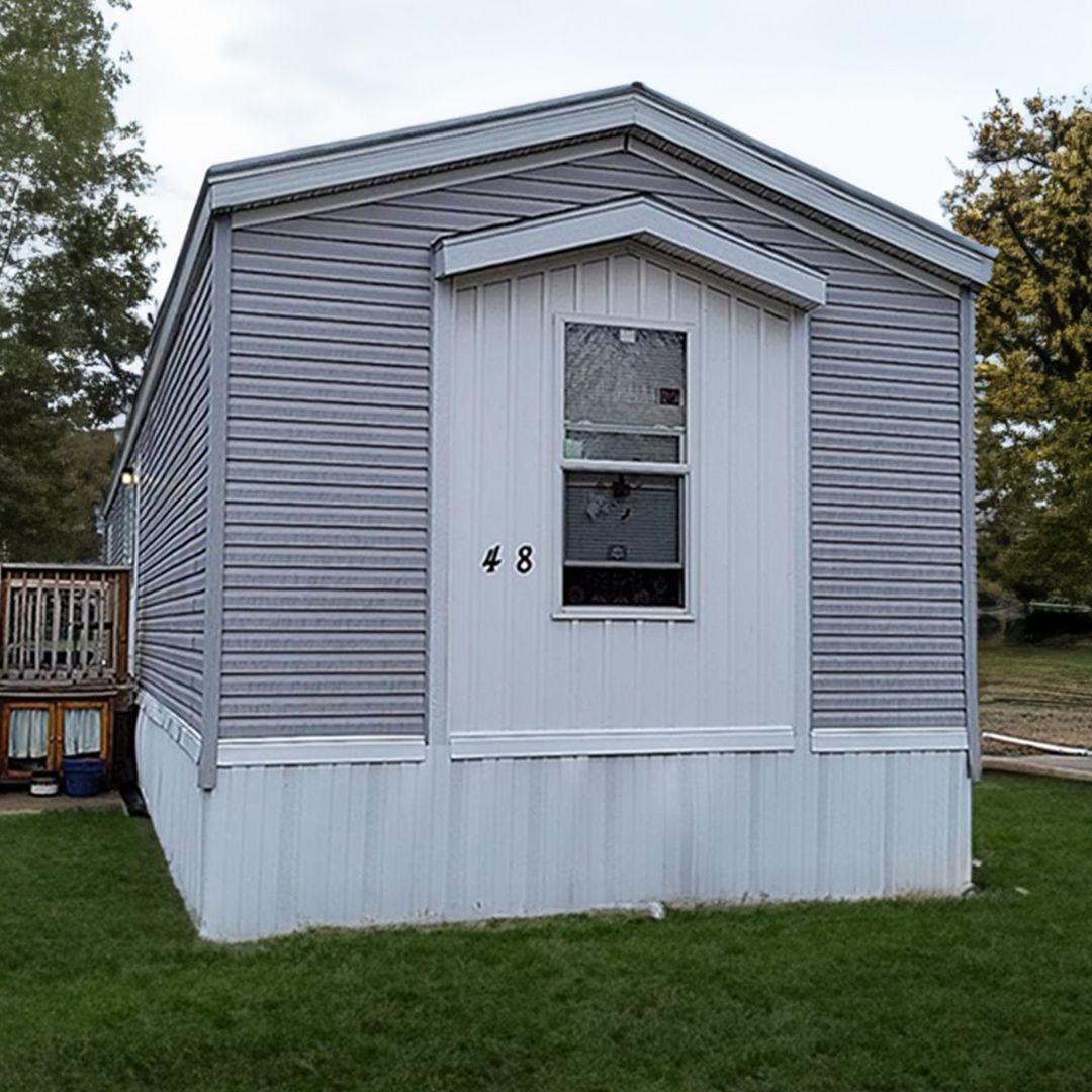 maize 48  rent.jpg