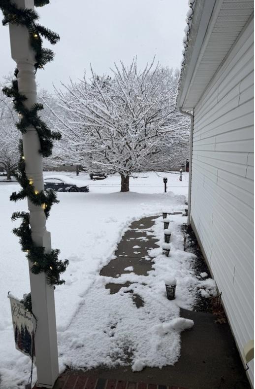 untitled design.jpeg