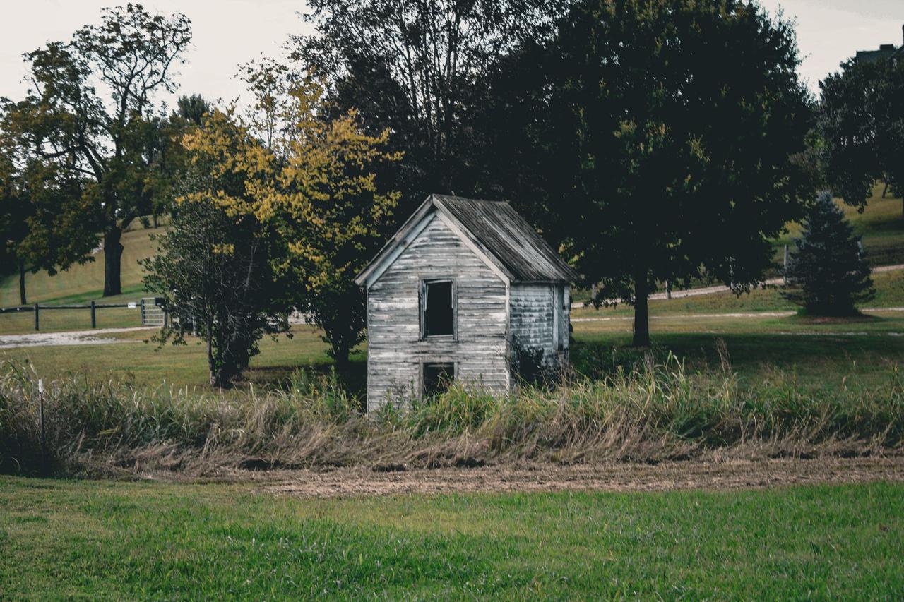 Abandoned house in an overgrown field