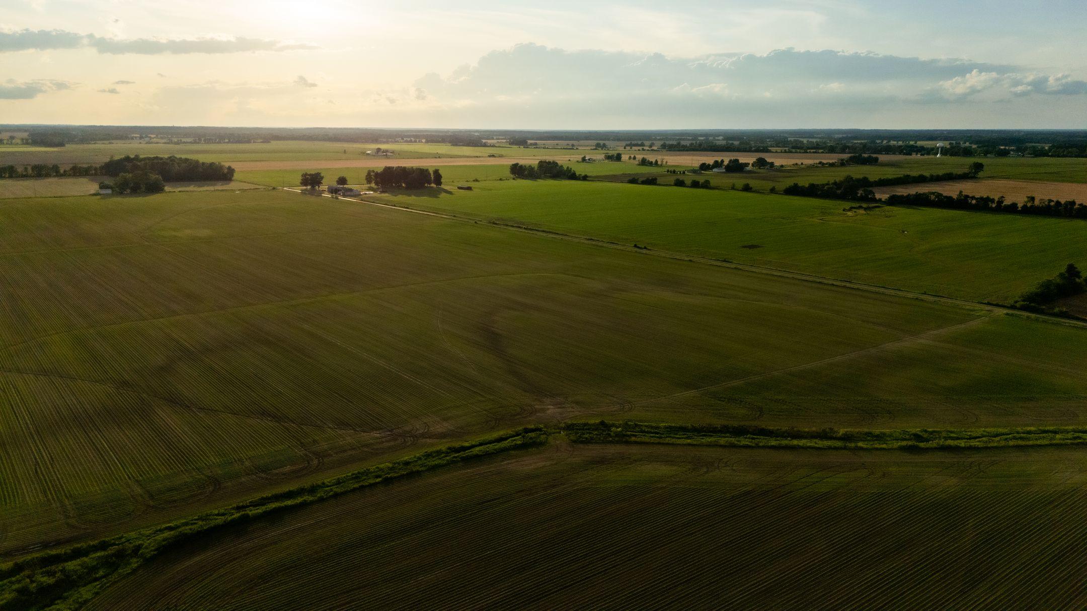 Aerial view of vast crop fields at sunset, showcasing serene farmland and agricultural landscape.