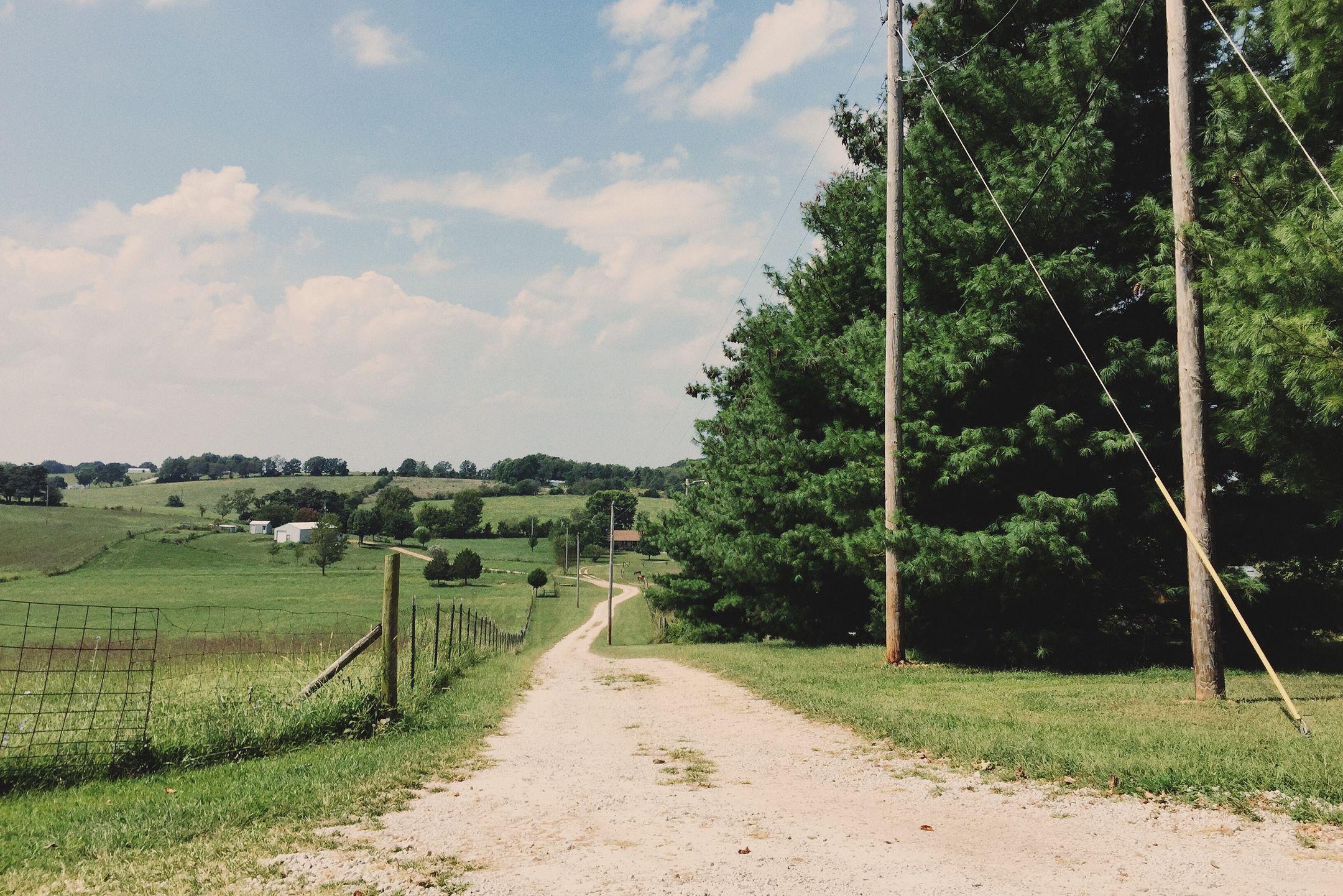 Scenic rural landscape with a dirt road meandering through lush green fields and trees under a clear sky.