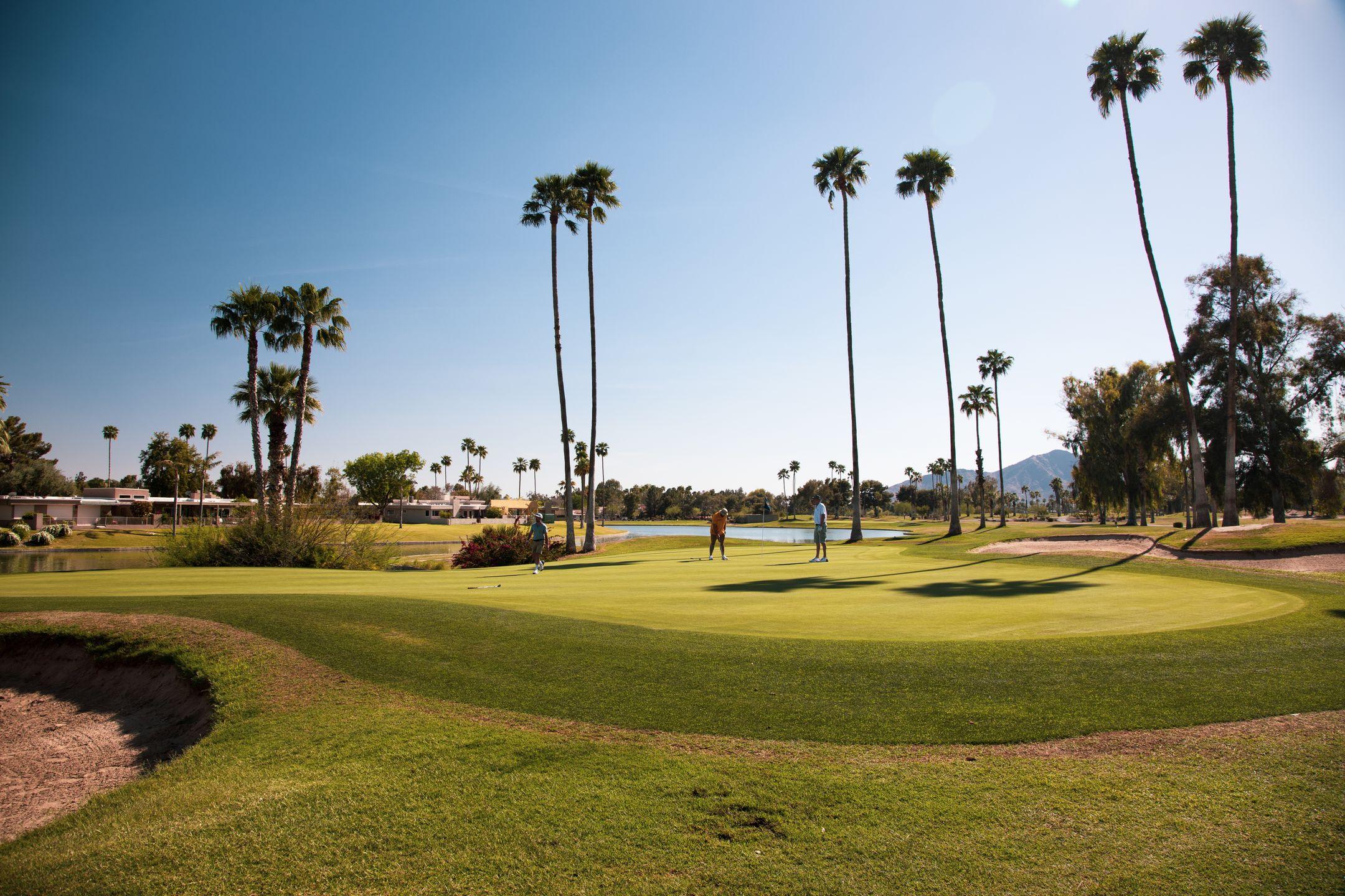 Sunny day at a Scottsdale golf course with palm trees and mountains in view.