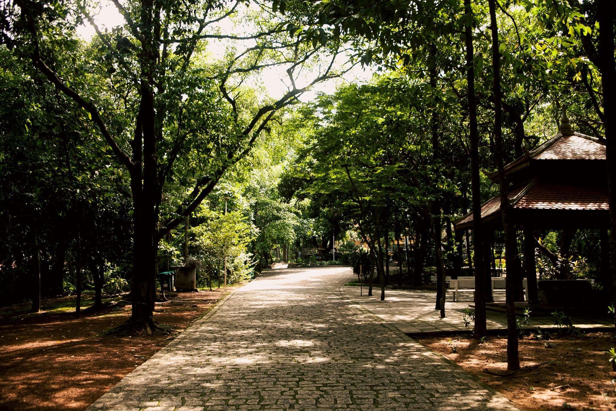 A serene cobblestone pathway surrounded by lush greenery in a Hồ Chí Minh park.