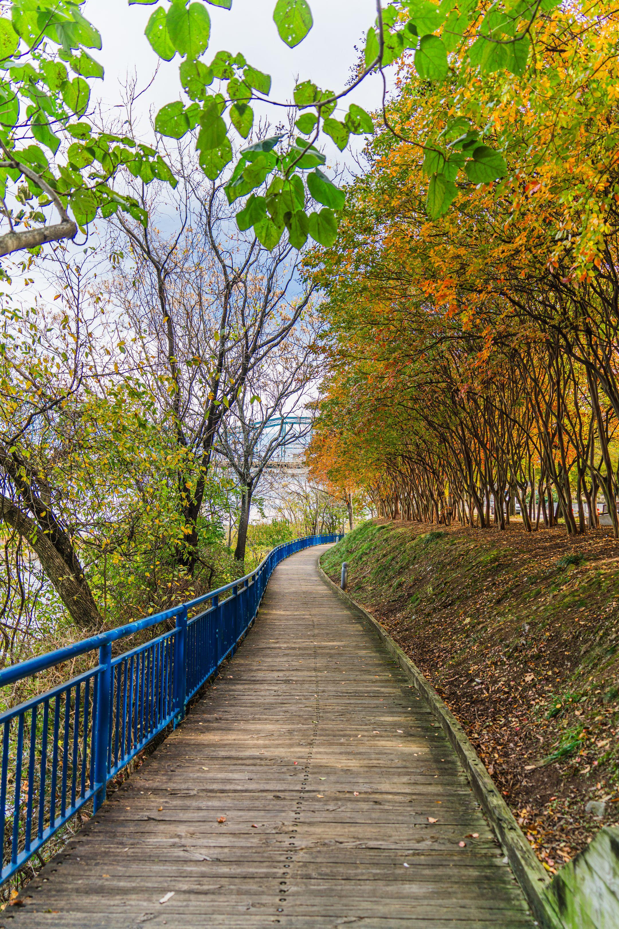 Beautiful boardwalk along the riverfront in Chattanooga, TN showcasing vibrant autumn colors.