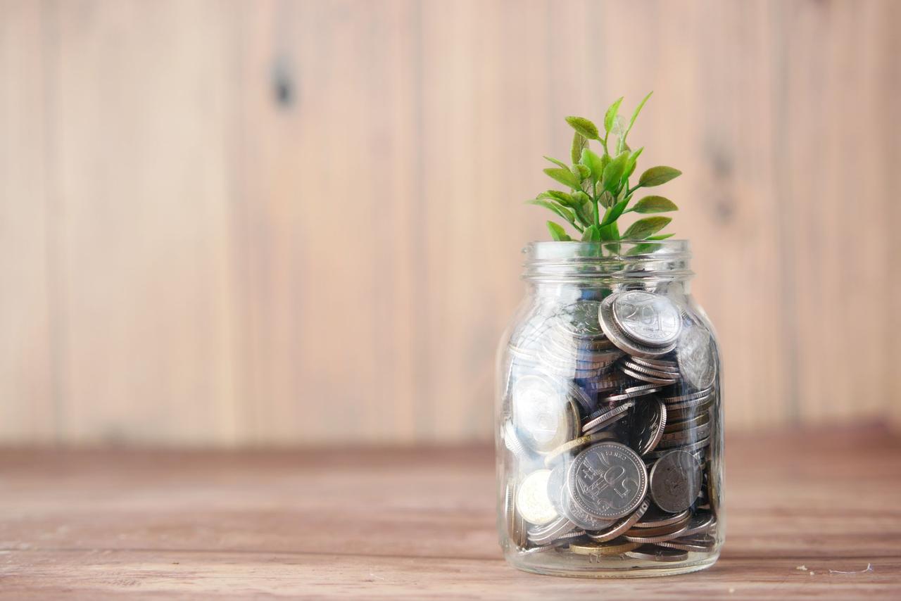 Jar of coins with a growing plant