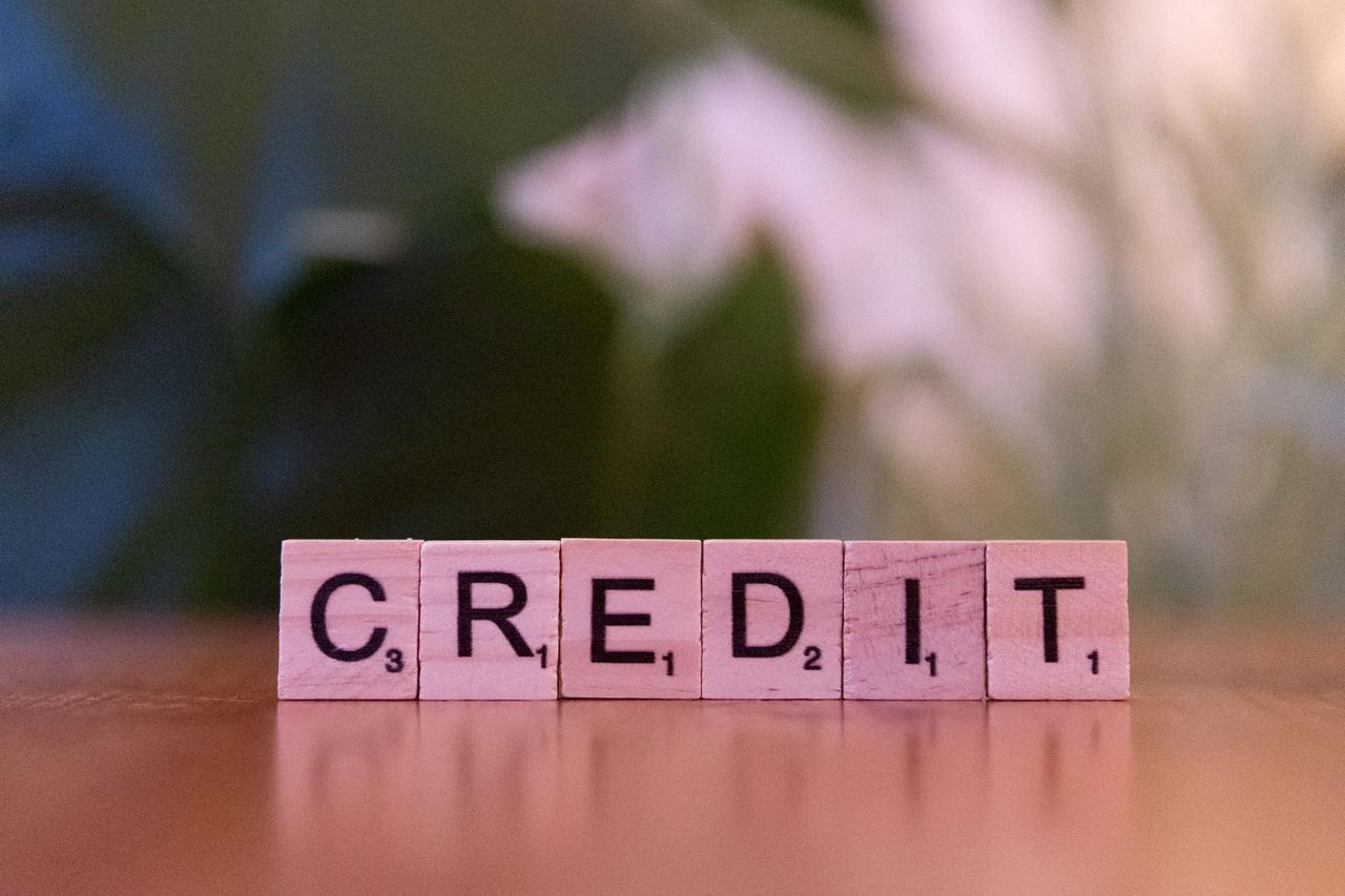 Close-up of wooden blocks spelling 'credit' with a blurred leafy background.
