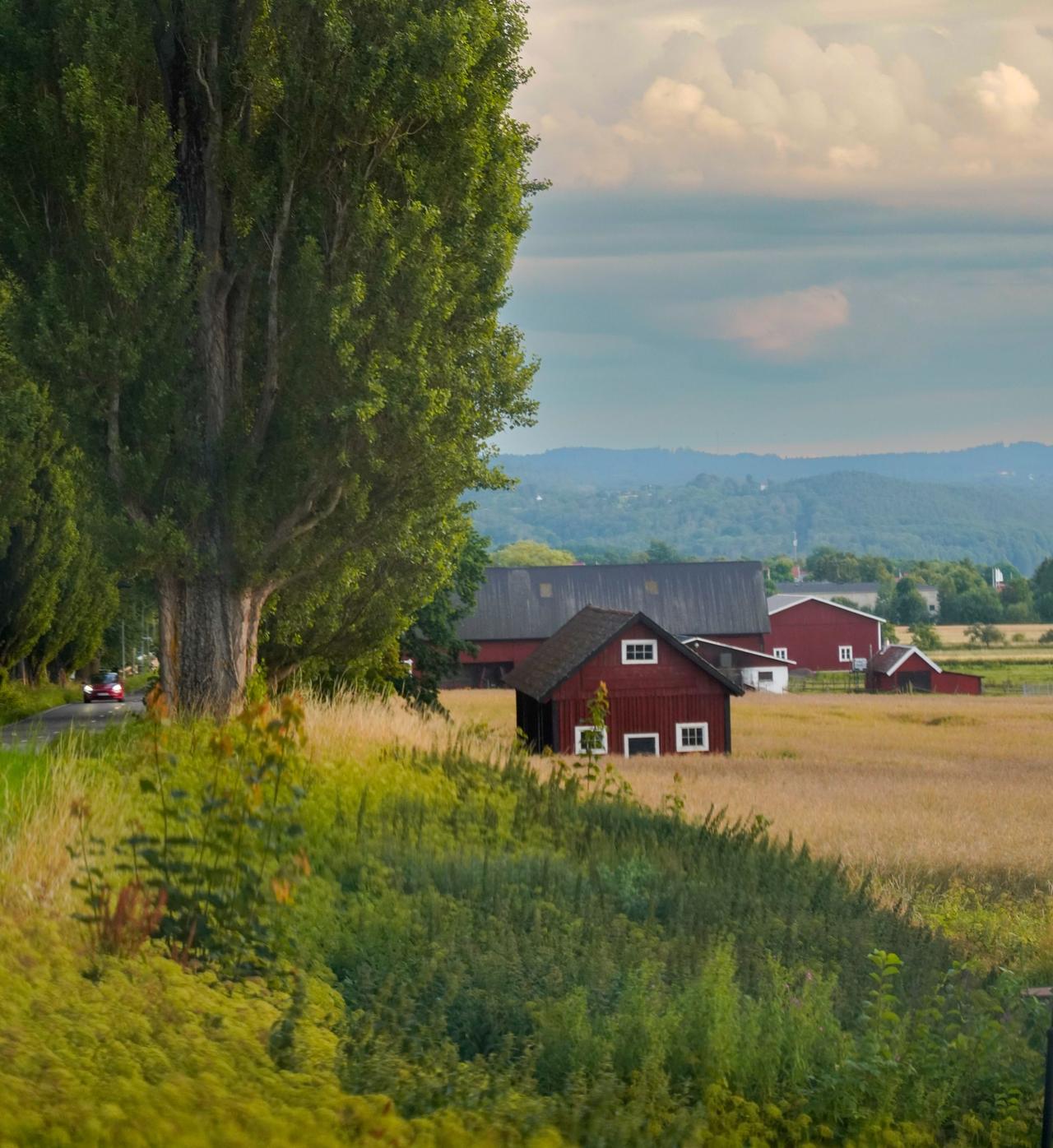 Farmhouse in open countryside