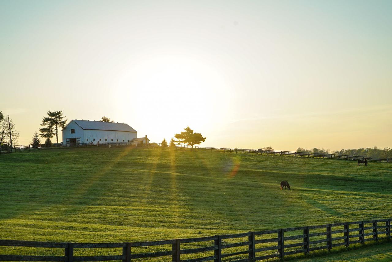 Beautiful sunrise illuminating a peaceful Kentucky farm with lush green pastures and grazing horses.