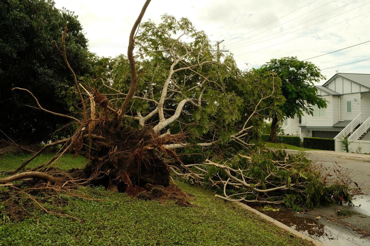 Fallen tree beside a house after a storm