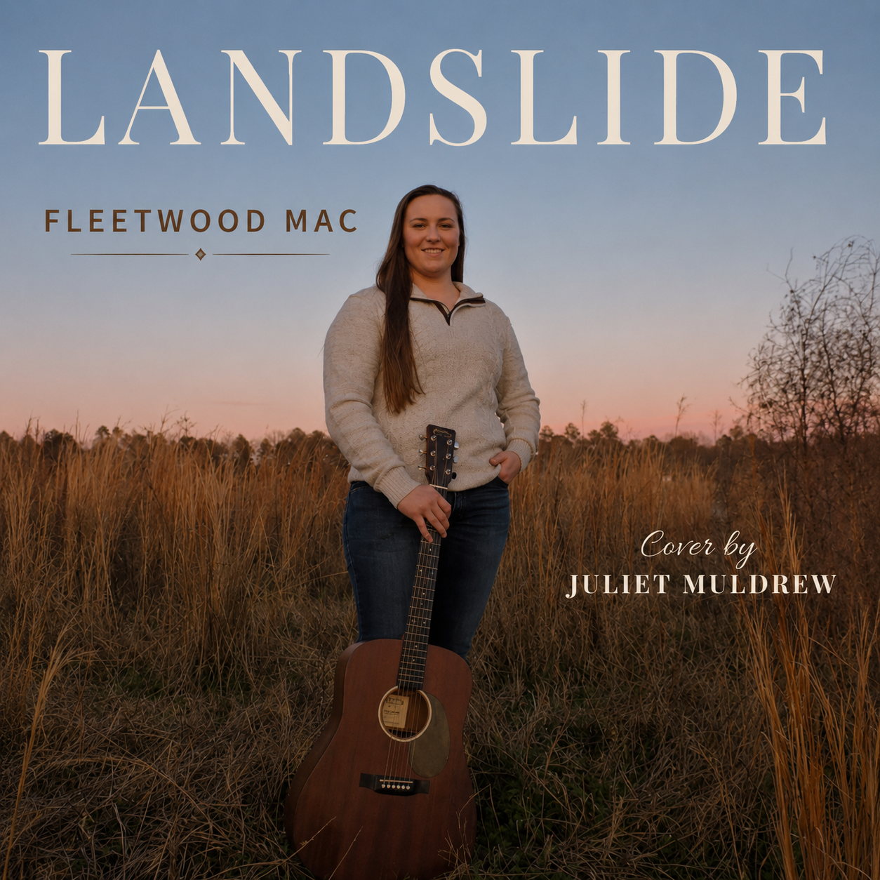 Landslide album art