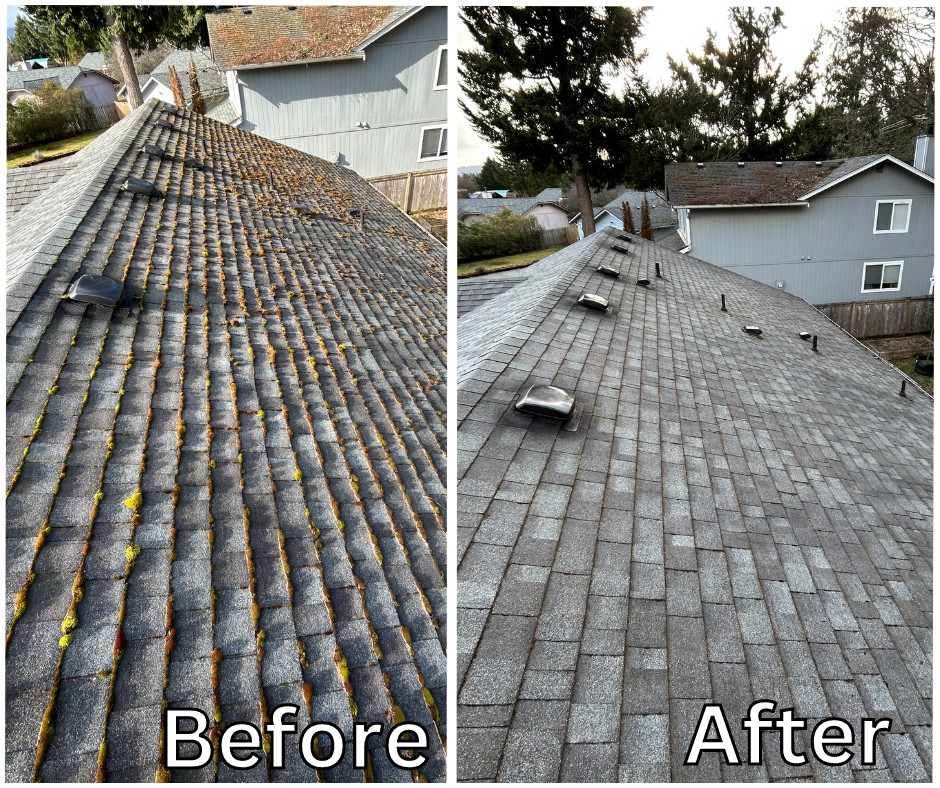 Before and after roof moss removal transformation