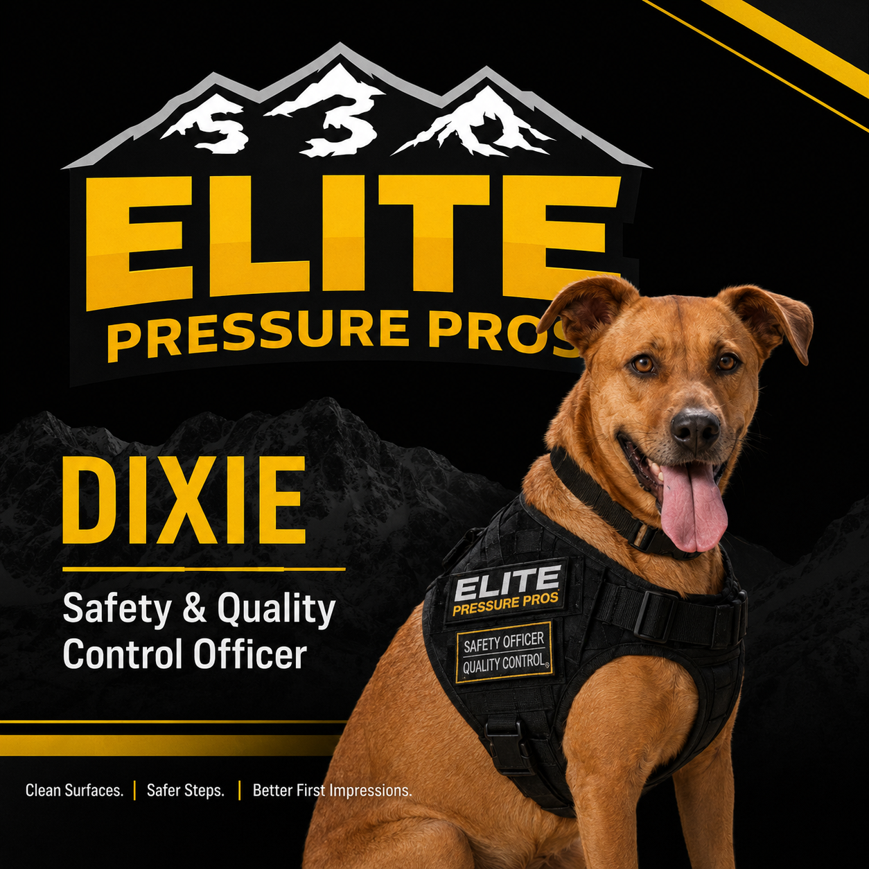 Dixie - Safety and Quality Control Officer at Elite Pressure Pros