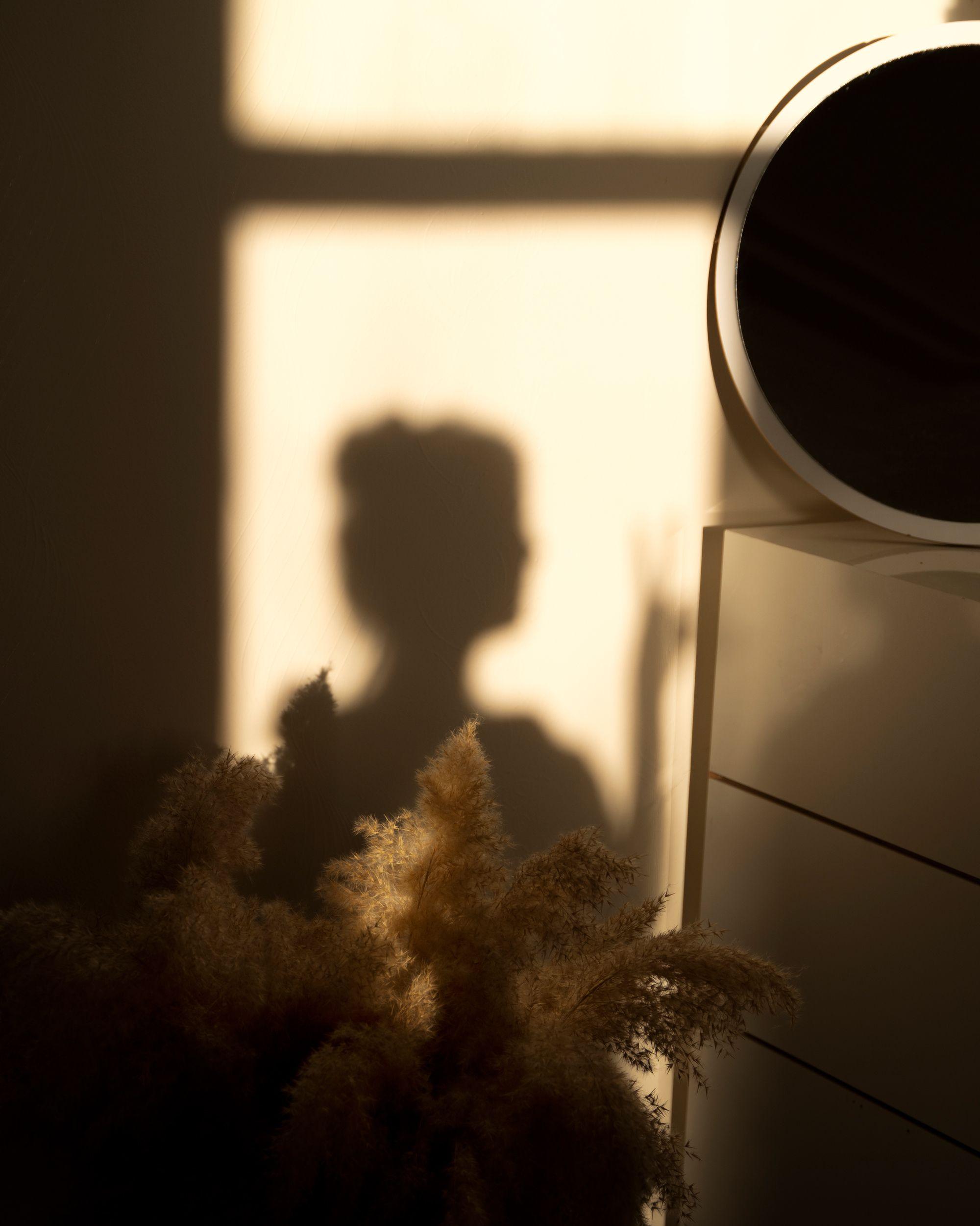 Shadow of a person on a wall with a circular mirror and dried plants in soft sunlight.