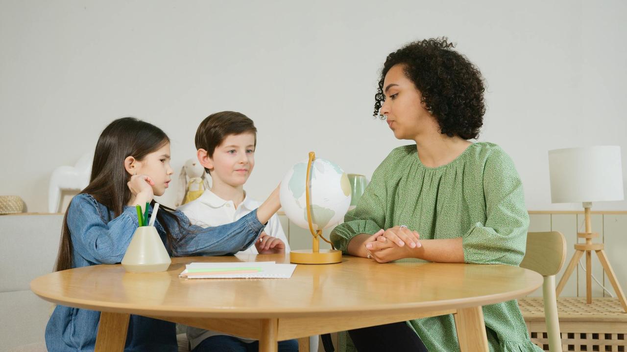 Professional education services