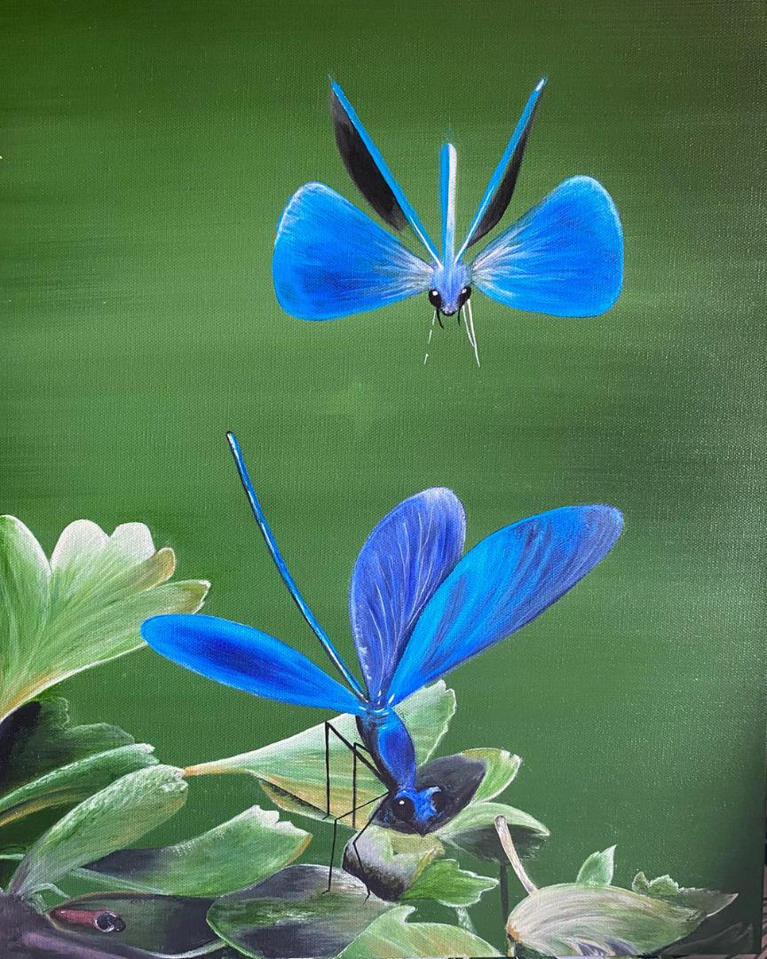 blue-damselflies-b12-gallery.jpg