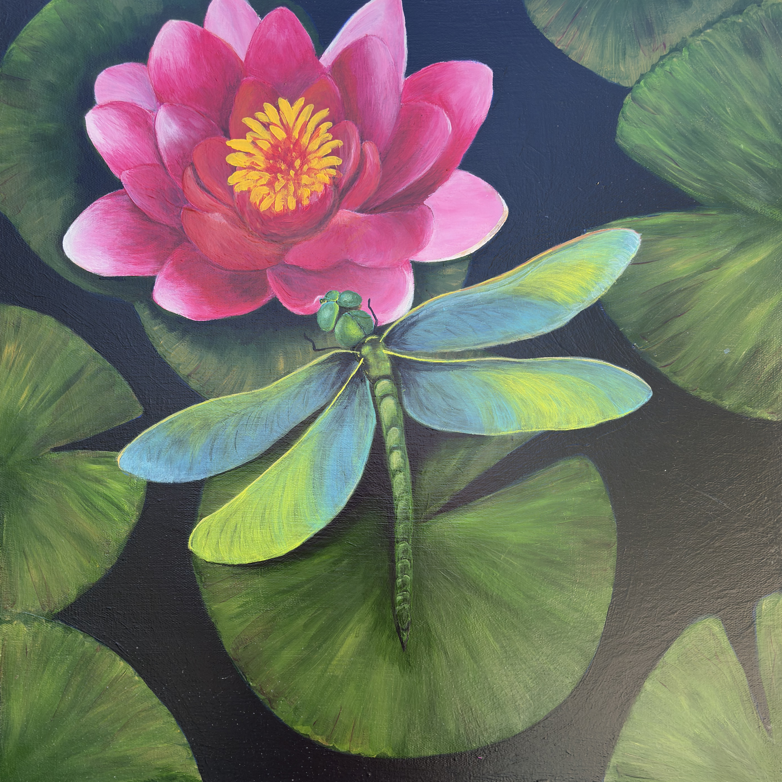 lotus radiance_master_16x16_300dpi.png