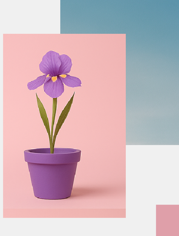 web visulas tow-04.png