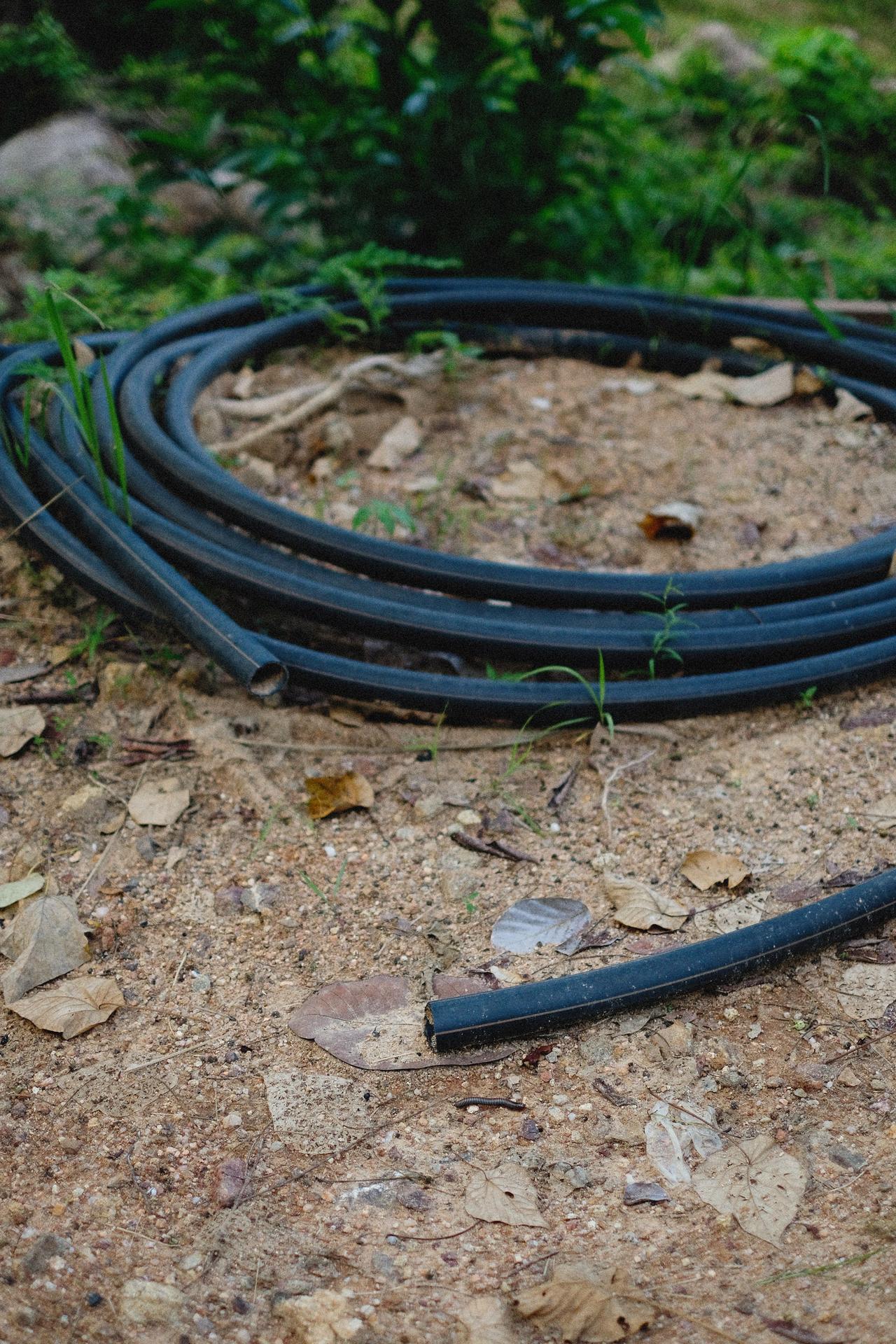 A black garden hose coiled on a dirt-ground surface outdoors in a natural setting.