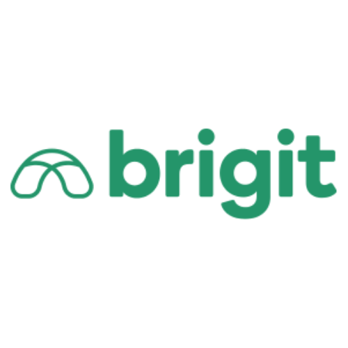 brigit logo square.png