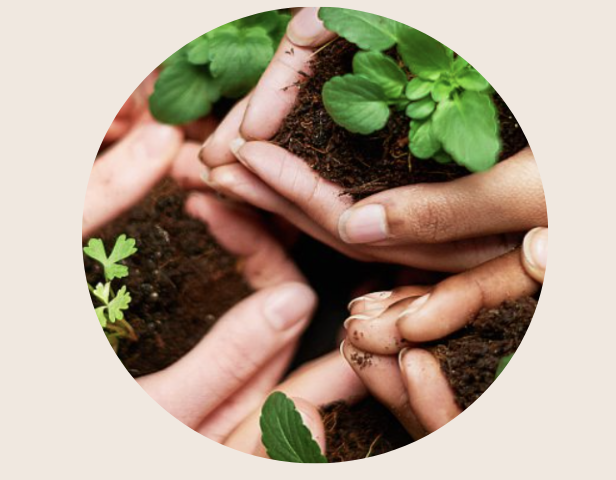 screenshot 2023-10-08 at 1.32.23 pm.png