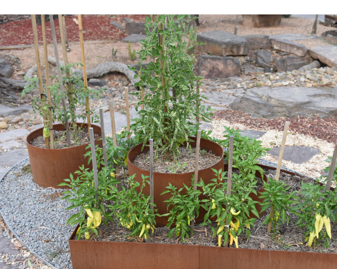 (dutch) (26)_20240827_091911_0026.png