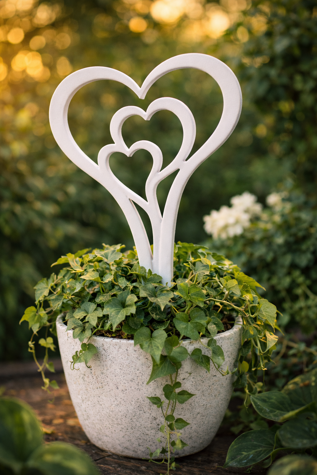 chatgpt image feb 17, 2026, 06_03_30 pm.png