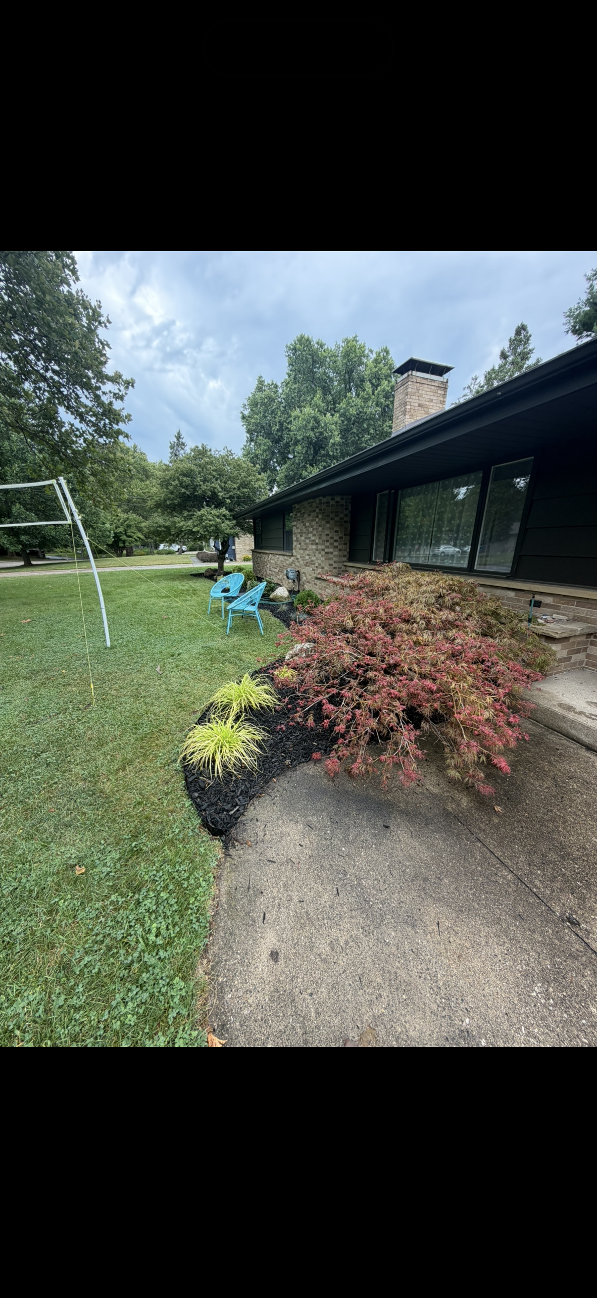 Professional Lawn Maintenance
