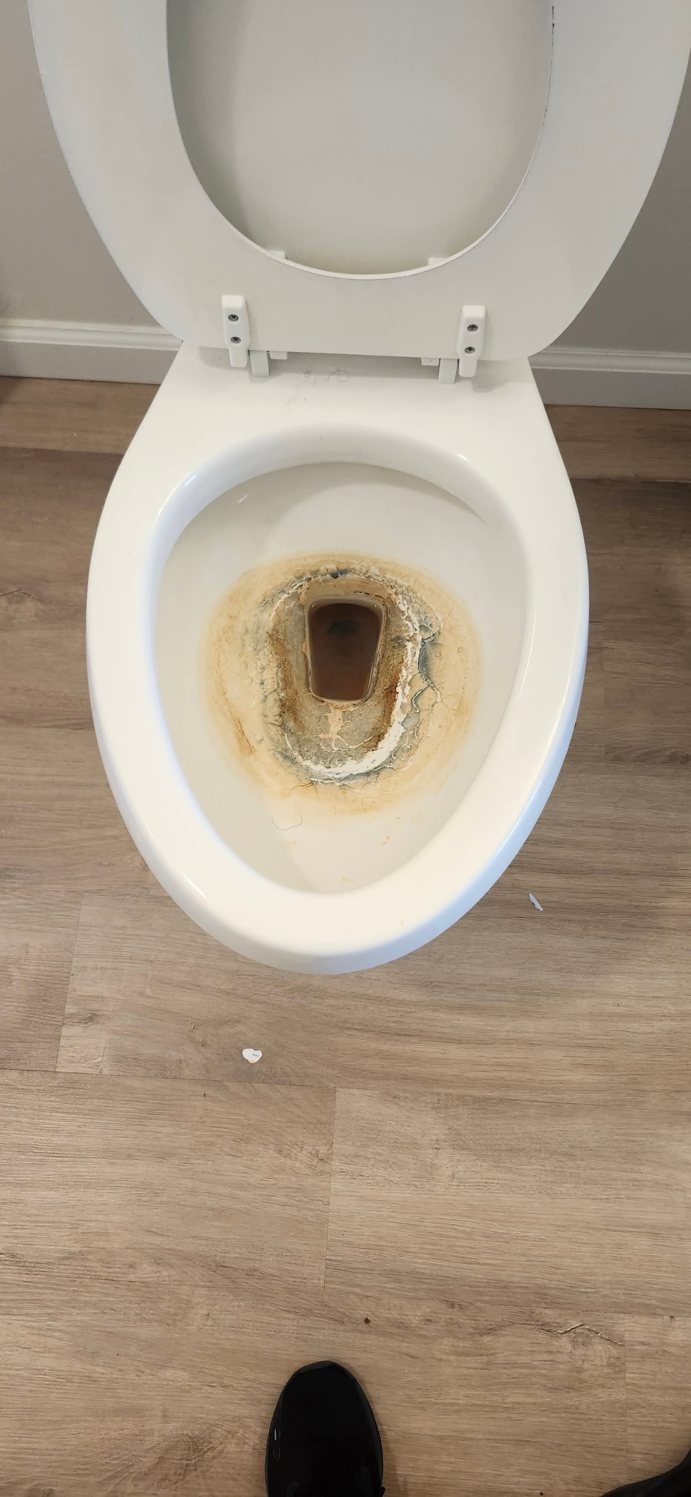 Before cleaning