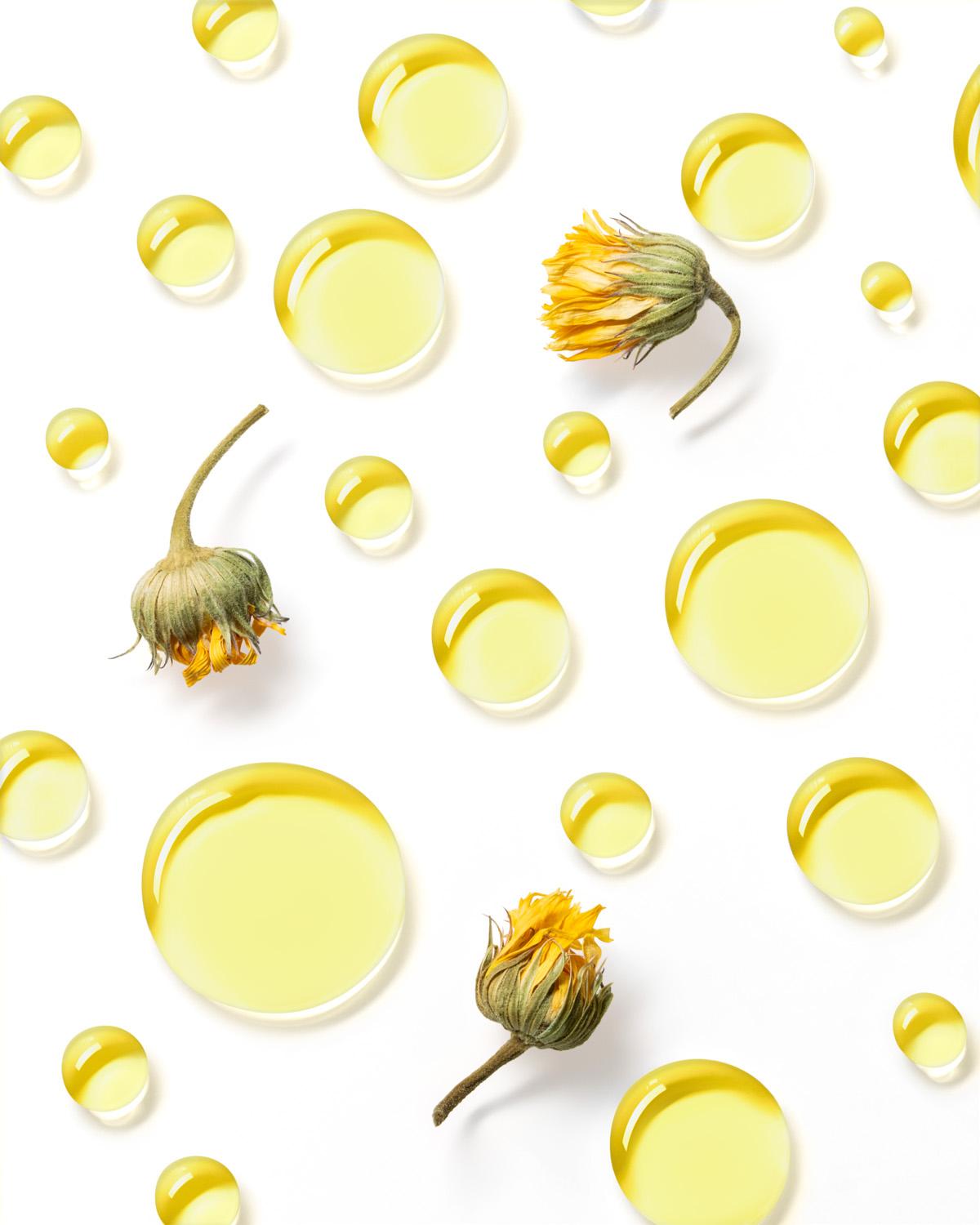 copy of dpm_1-100.jpg