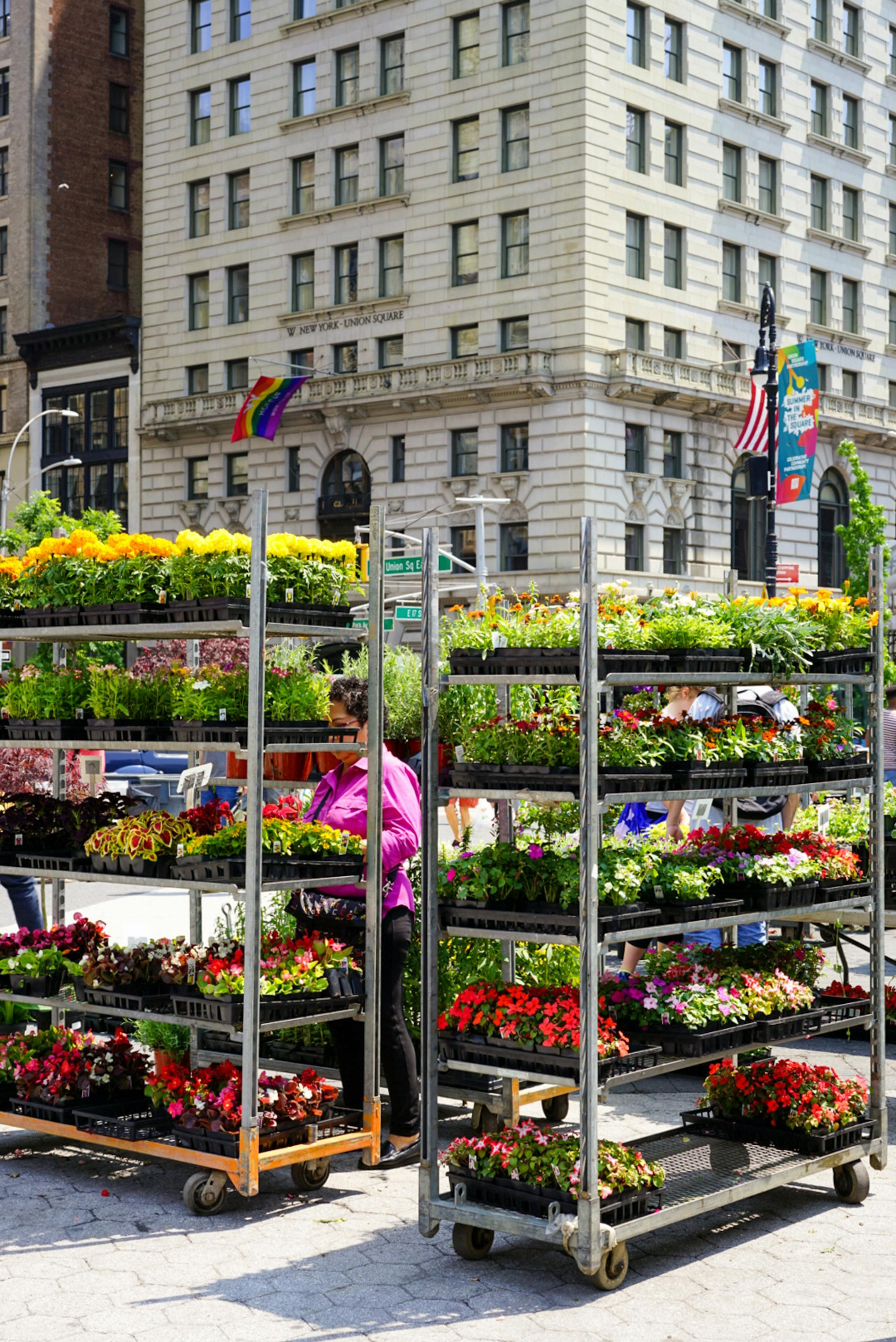 Colorful flower market stalls in a bustling city center with a historic building backdrop.