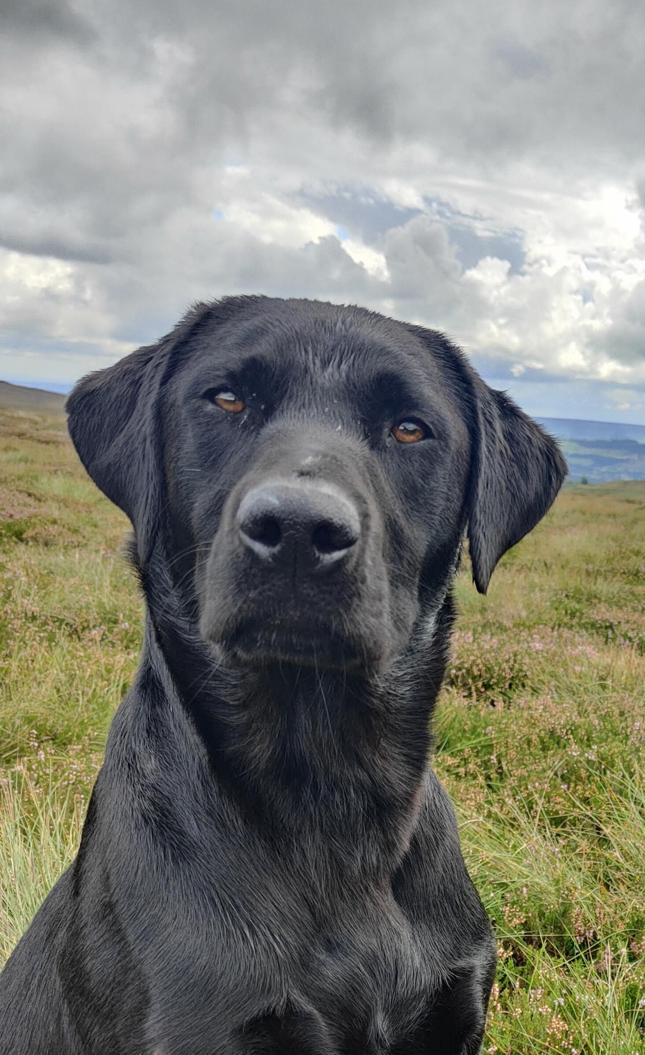 1000084866.jpg