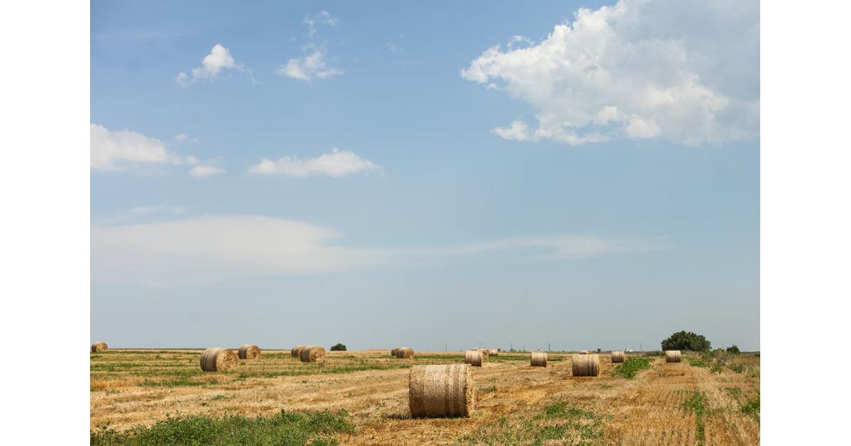 Understanding Texas Agricultural Exemptions For Commercial Land