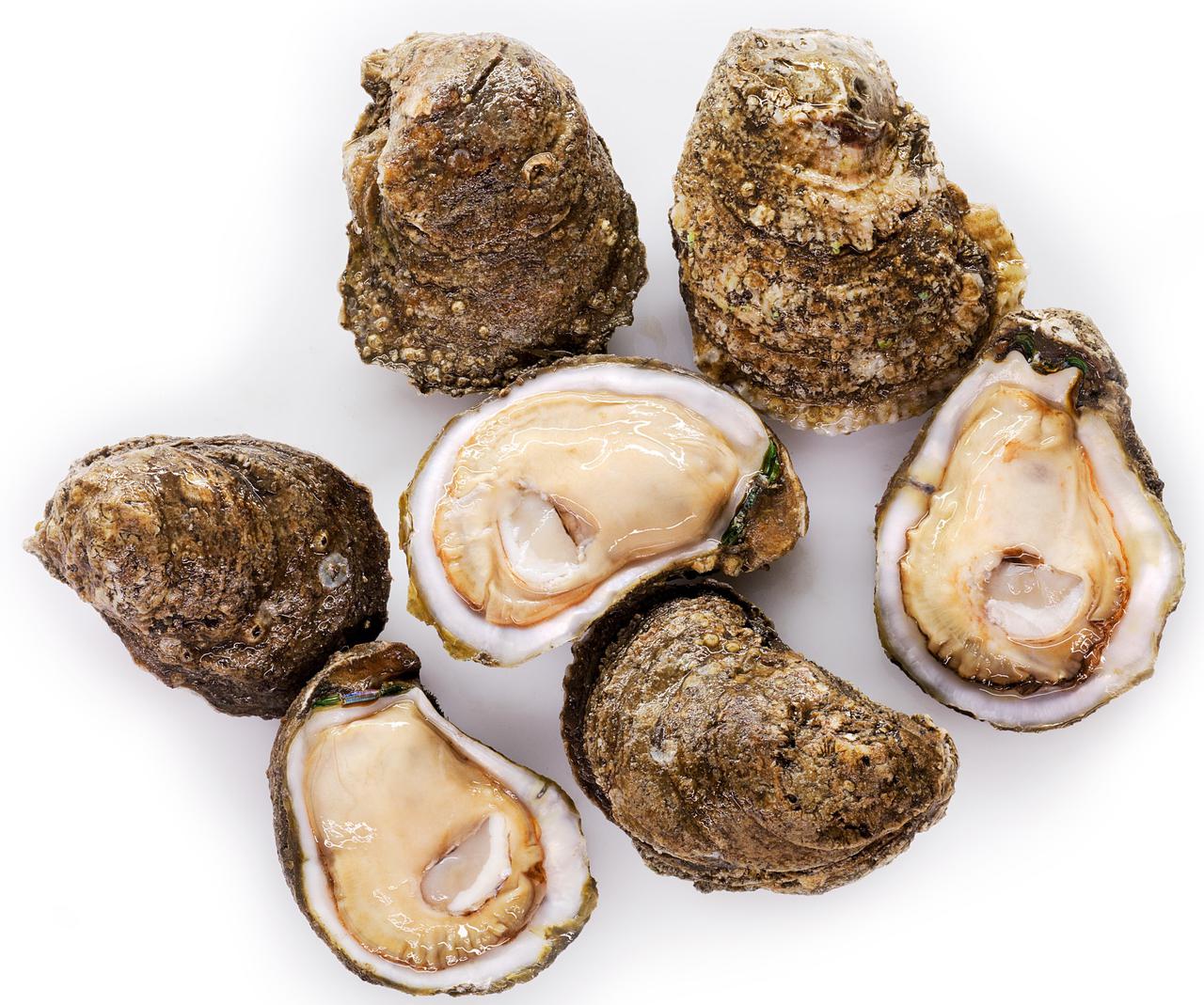 5cfb5ad0-37d7-11e9-9657-0242ac110002-raw_oysters.jpg