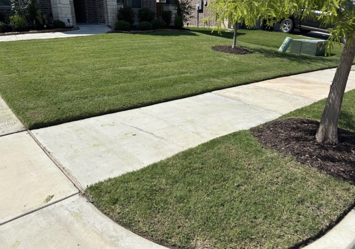 Professional yard work by JV Turf Co.