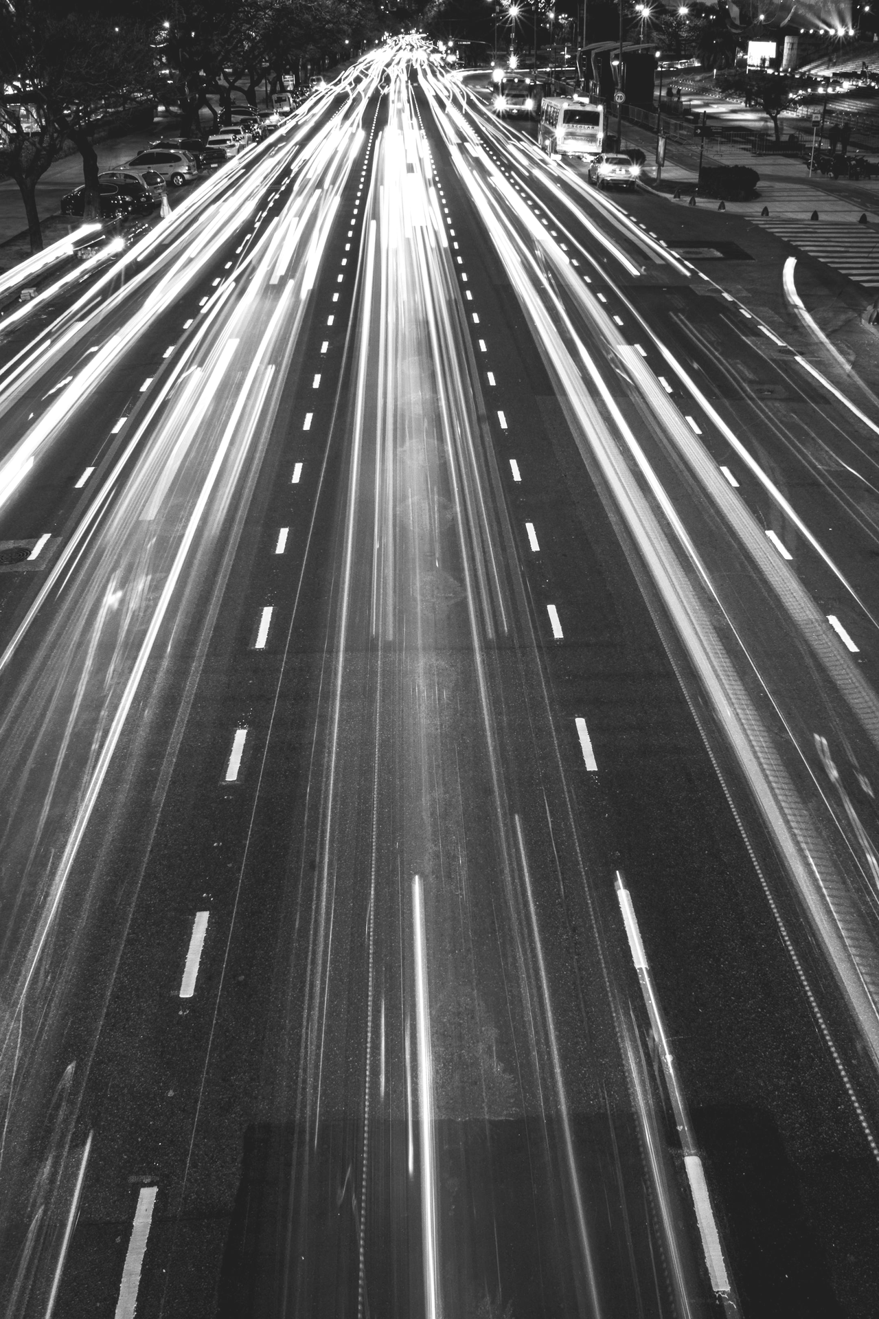 pexels-photo-28923766-1744154378416.jpeg