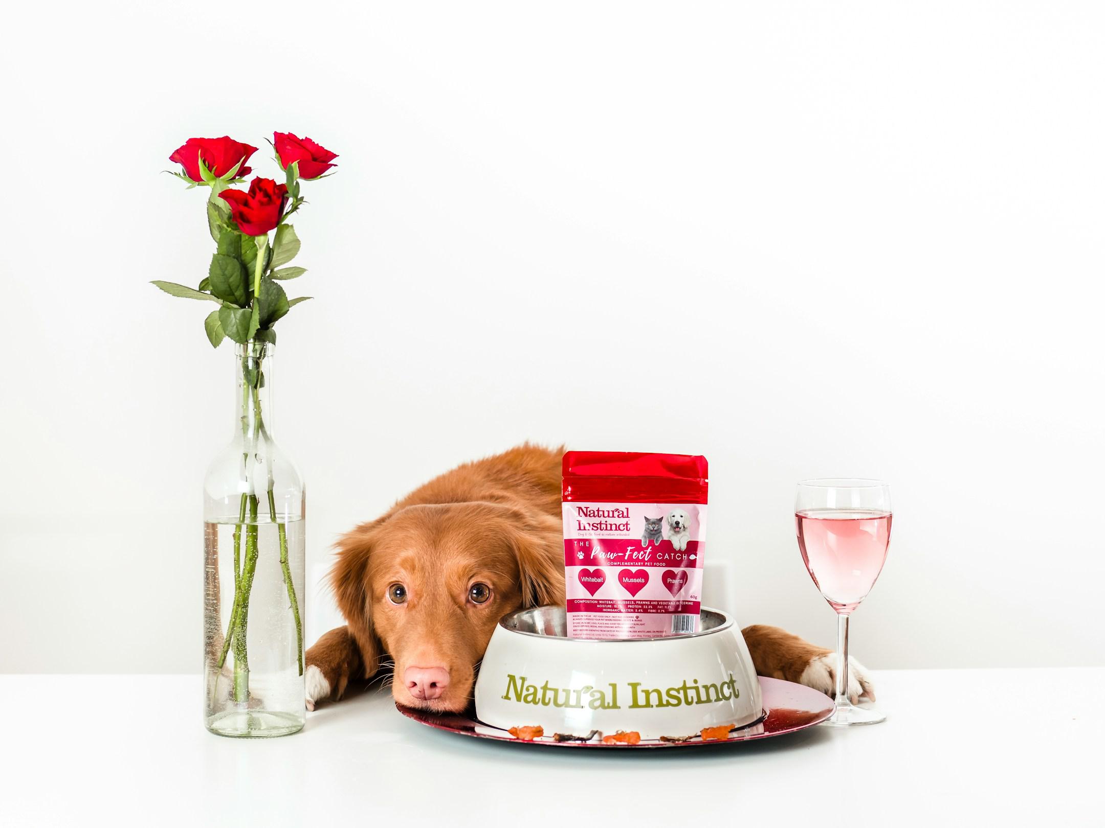 Premium dog food
