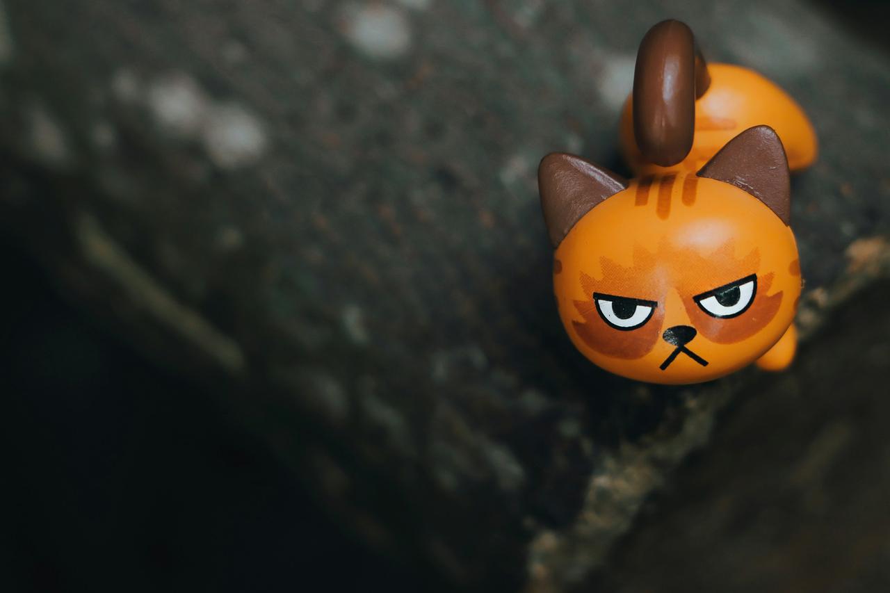 Interactive cat toy