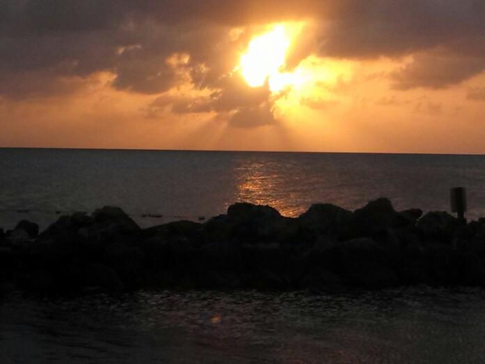 aug 3 2014 2490 (1).jpg