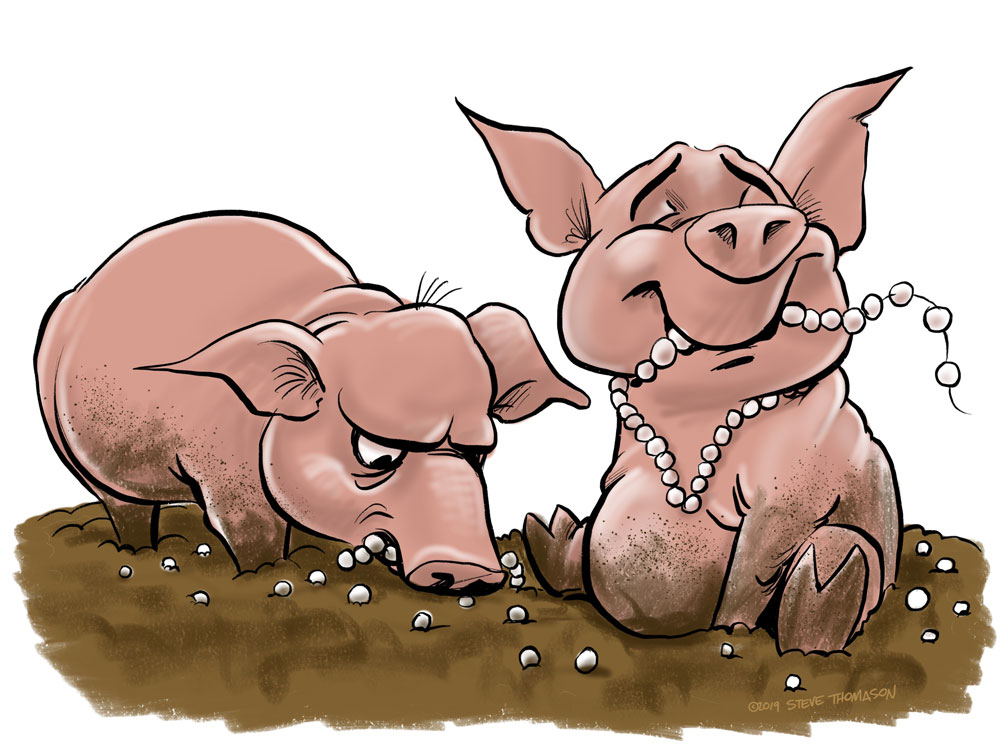 mattthew-7-swine-1751970437061.jpg