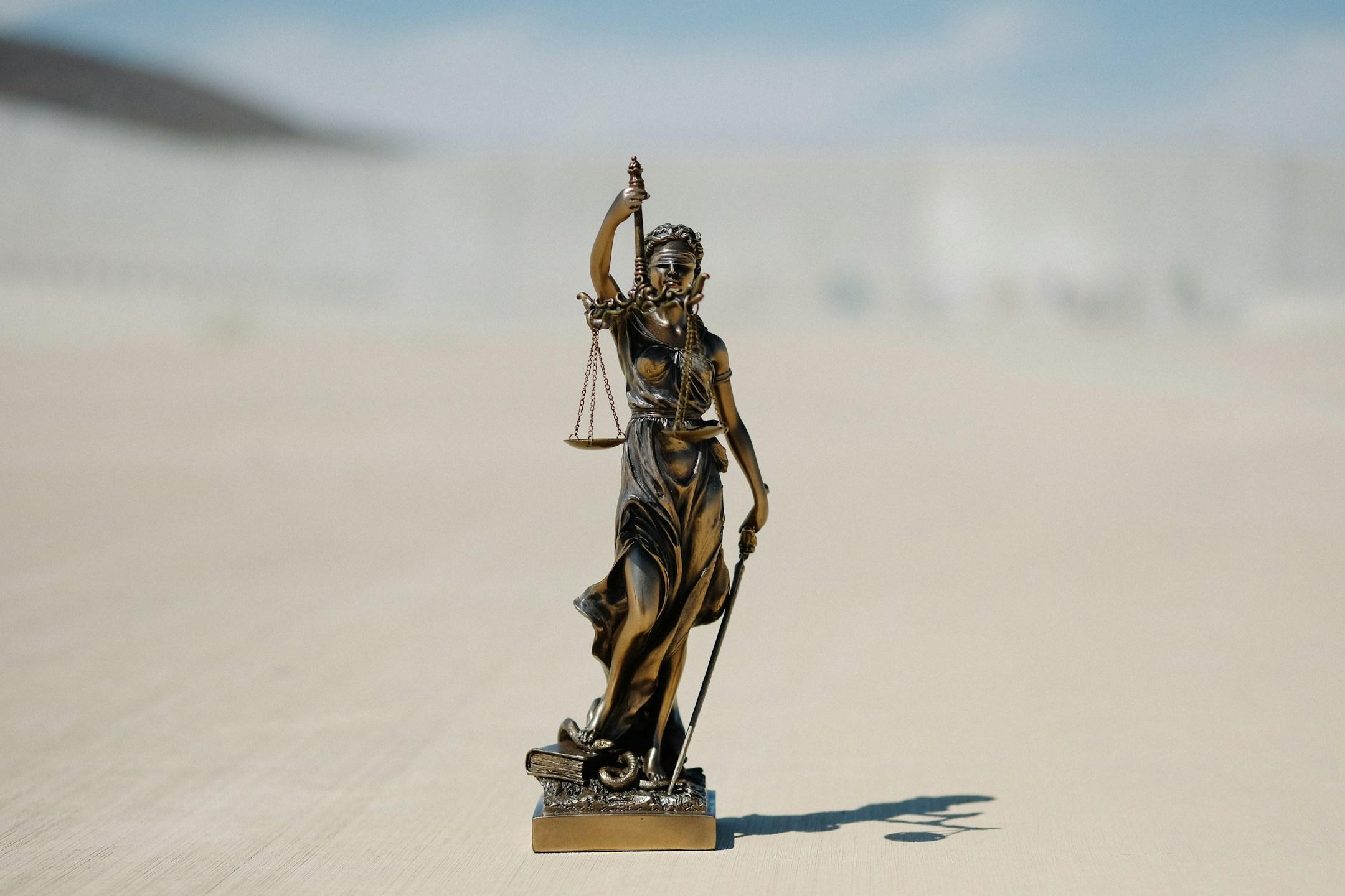 Advocate high court representation