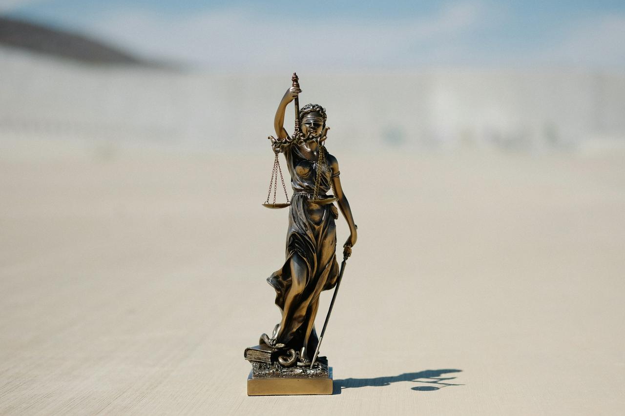 Advocate high court representation