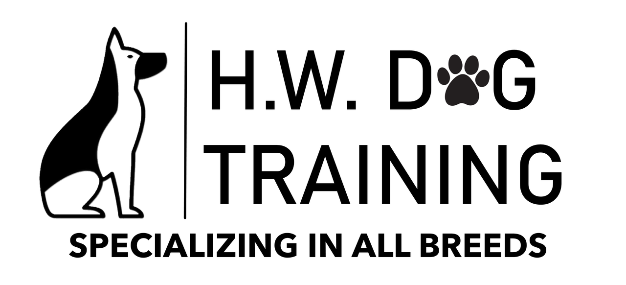 hw dog training png.png