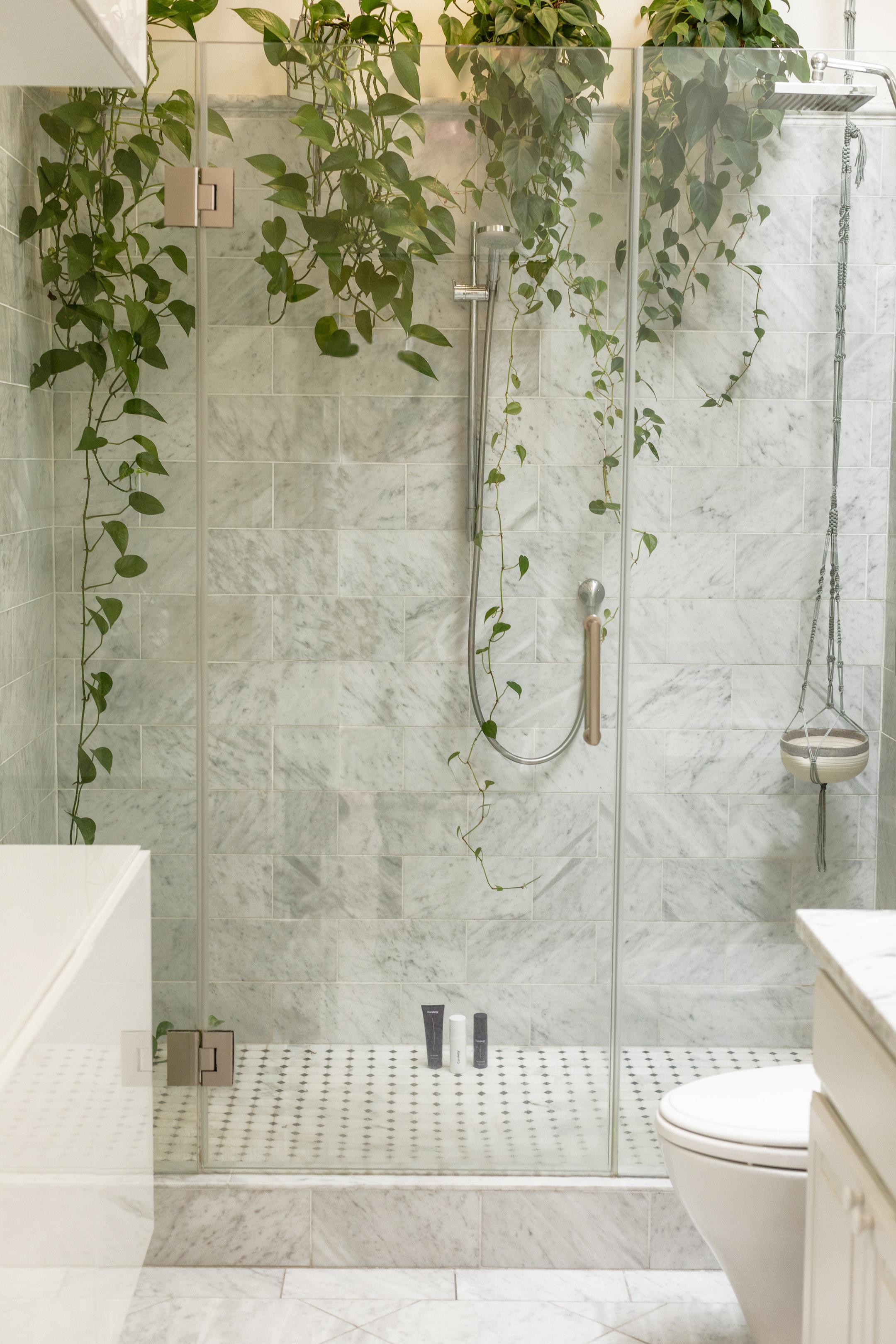 skincare products in glass shower with plants