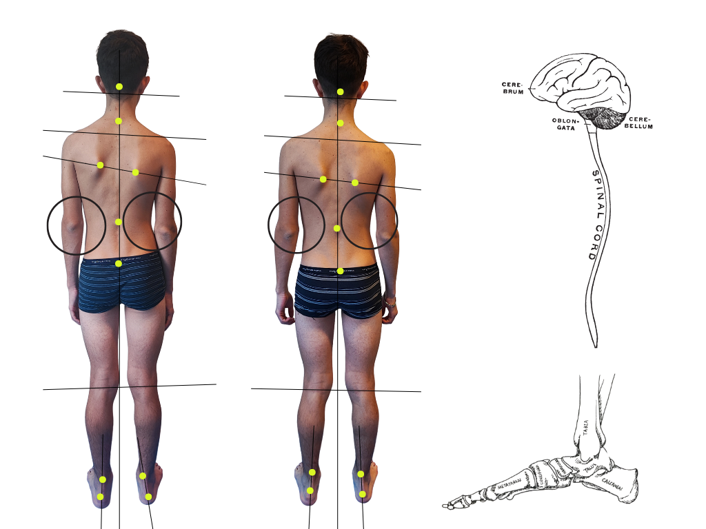 postura (1).png