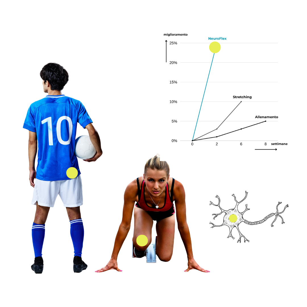 vetrina whatsapp (2).png