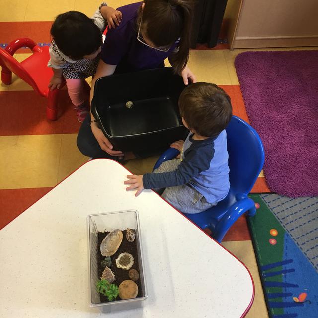 This week's tip   
PETS and CHILDREN