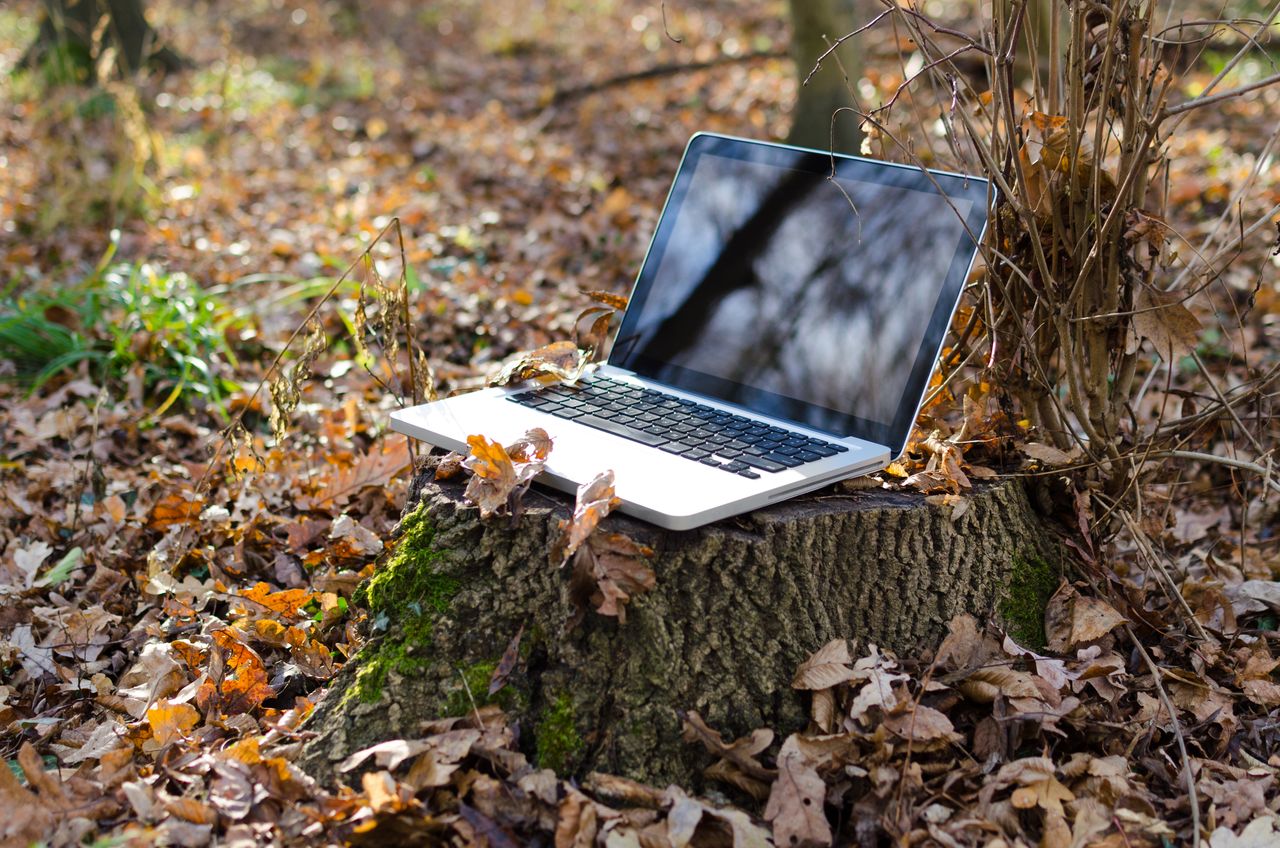 Digital Nomadism