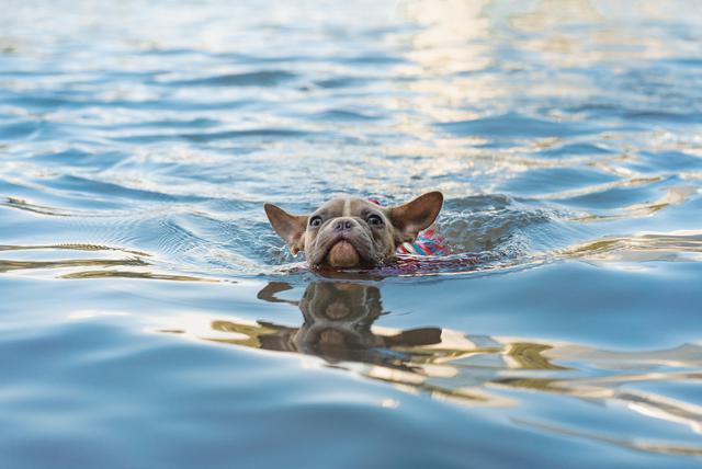 Lady Bird Lake, Austin TX

@OurBudSpud