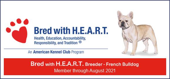 bring home AKC puppies from royal empire french bulldogs